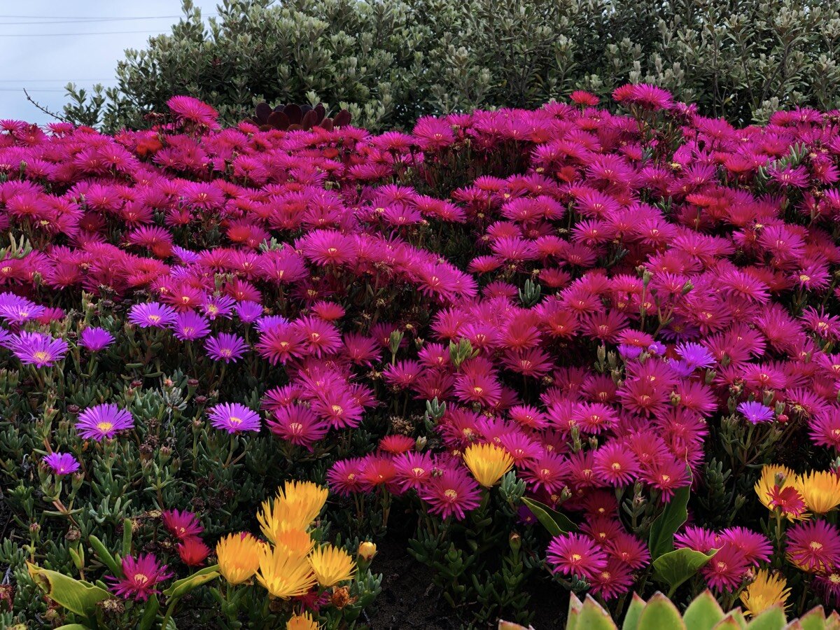 2001 Black Haul 700D Trailer car